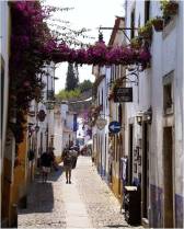 This is a typical street in the hilltop town of Obidos.